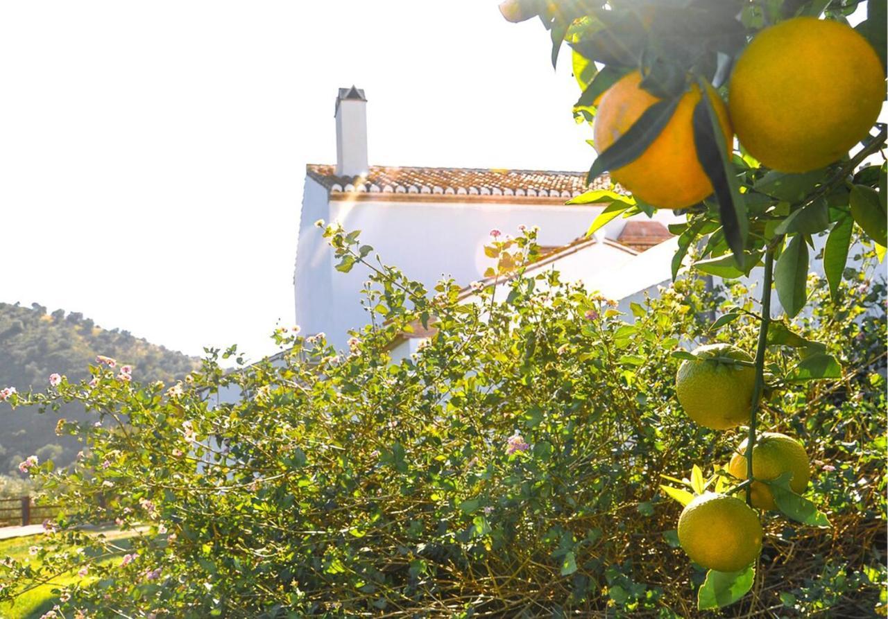 Cortijo Las Caballerias Álora Exterior foto